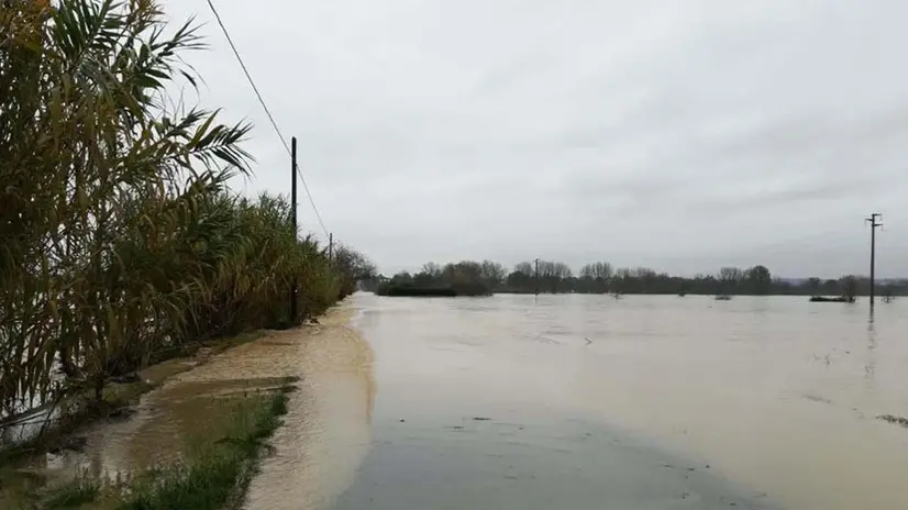 Il fiume Bormida in provincia di Alessandria, 24 novembre 2019. ANSA