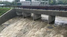L'attivazione della vasca di laminazione non è bastata a contenere il Seveso - Ansa © www.giornaledibrescia.it