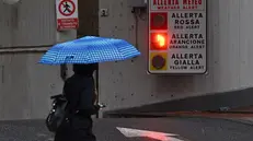 Piove forte a tratti, allagamenti diffusi sul territorio ligure. Scuole chiuse in via precauzionale in molti comuni, allerta arancione nel centro della regione, mentre nel Tigullio e nello spezzino il livello di allerta erossa per i grandi bacini dell'Entella.e del Magra.Genova, 08 ottobre 2024. ANSA/LUCA ZENNARO