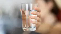 Un adulto dovrebbe bere da 1,5 a 2,5 litri di acqua al giorno