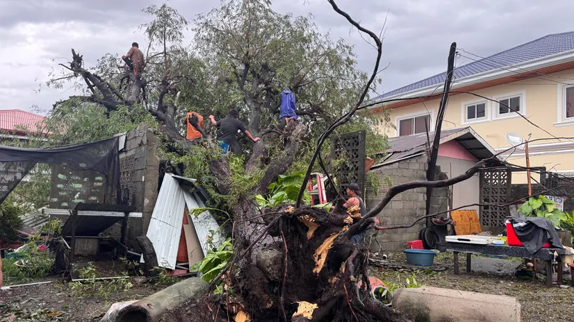 epa12398999 Villagers clear a fallen tree in the typhoon-hit town of Bacarra, Ilocos Norte province, Philippines, 23 September 2025. The Philippine weather service said Super Typhoon Ragasa passed over Luzon island, causing flooding, landslides, and damage to homes and infrastructure. EPA/BERNIE SIPIN DELA CRUZ