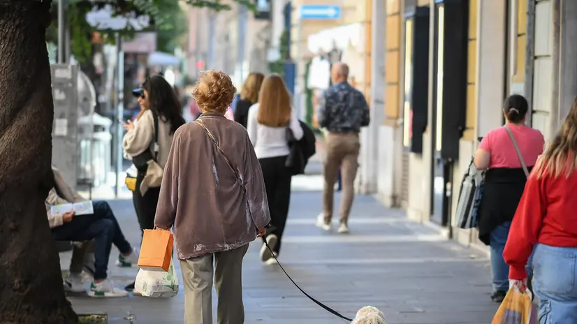 Una donna anziana passeggia con il cane nel quartiere Prati di Roma, 31 ottobre 2024. ANSA/ALESSANDRO DI MEO (generica, simbolica, anziana, anziani, cane, guinzaglio, autunno, inverno, passeggiare, sacchetto, shopping)