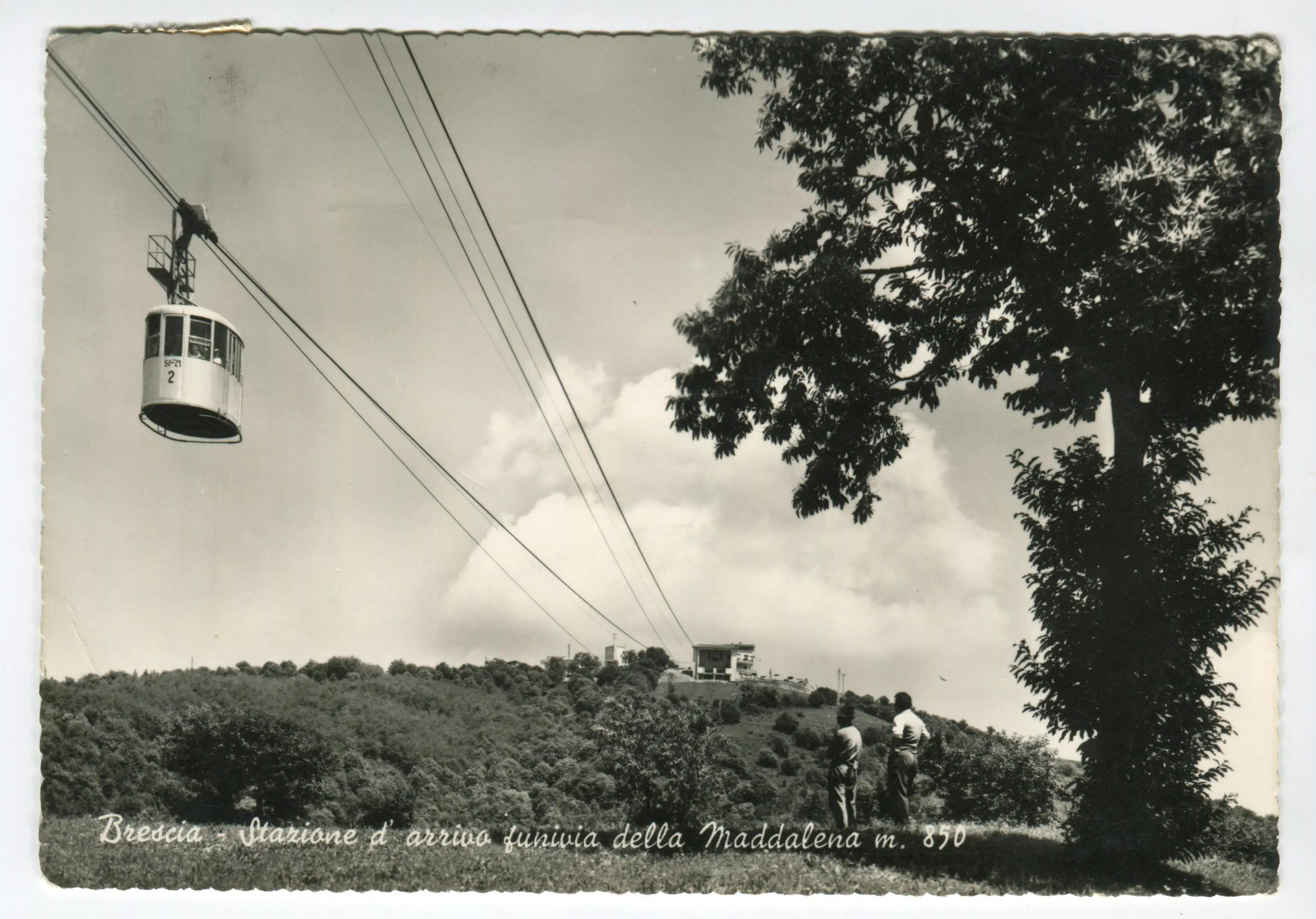 La ricostruzione dopo la guerra: gli anni Cinquanta