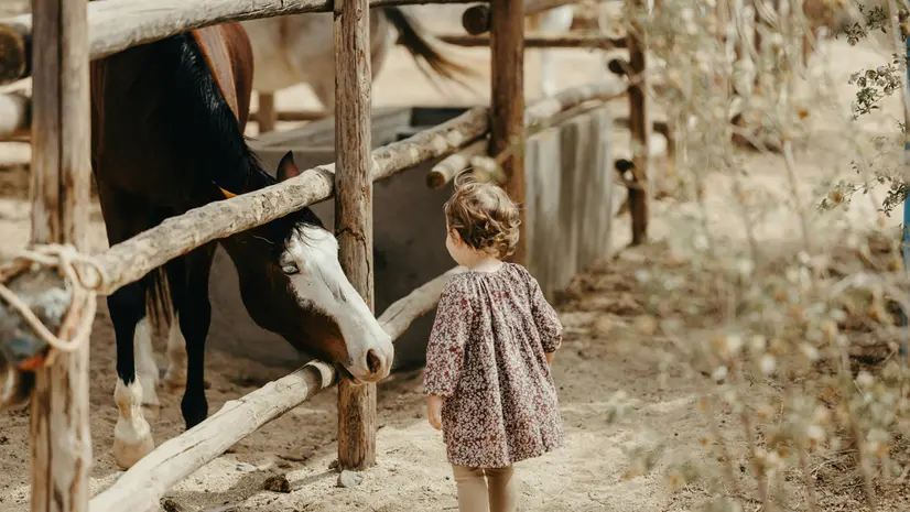 Tra le attività anche quelle con gli animali