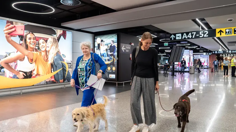 A bordo due cani che hanno viaggiato in Business class e economy. Fiumicino, 23 Settembre 2025. ANSA/TELENEWS