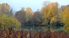 Uno scorcio delle Torbiere in veste autunnale