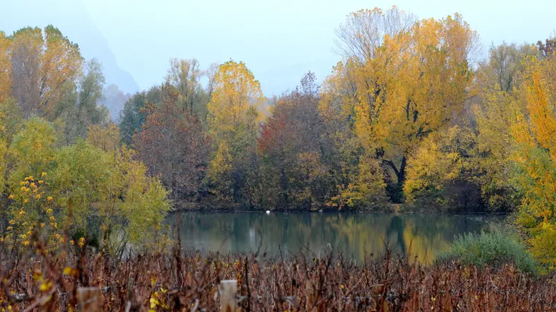 Uno scorcio delle Torbiere in veste autunnale