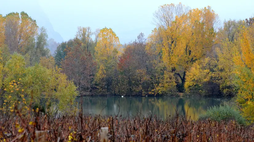 Uno scorcio delle Torbiere in veste autunnale