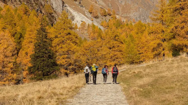 Foliage a Pontedilegno-Tonale - Foto Mauro Mariotti