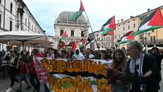 La manifestazione pro Pal a Brescia