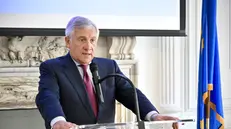 Il ministro degli Esteri Antonio Tajani durante un incontro con alcuni rappresentanti delle aziende italiane negli Stati Uniti, New York, 24 settembre 2025. ANSA/ALESSANDRO DI MEO
