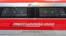 Il servizio del nuovo convoglio sarà operativo da domenica - Foto Fs