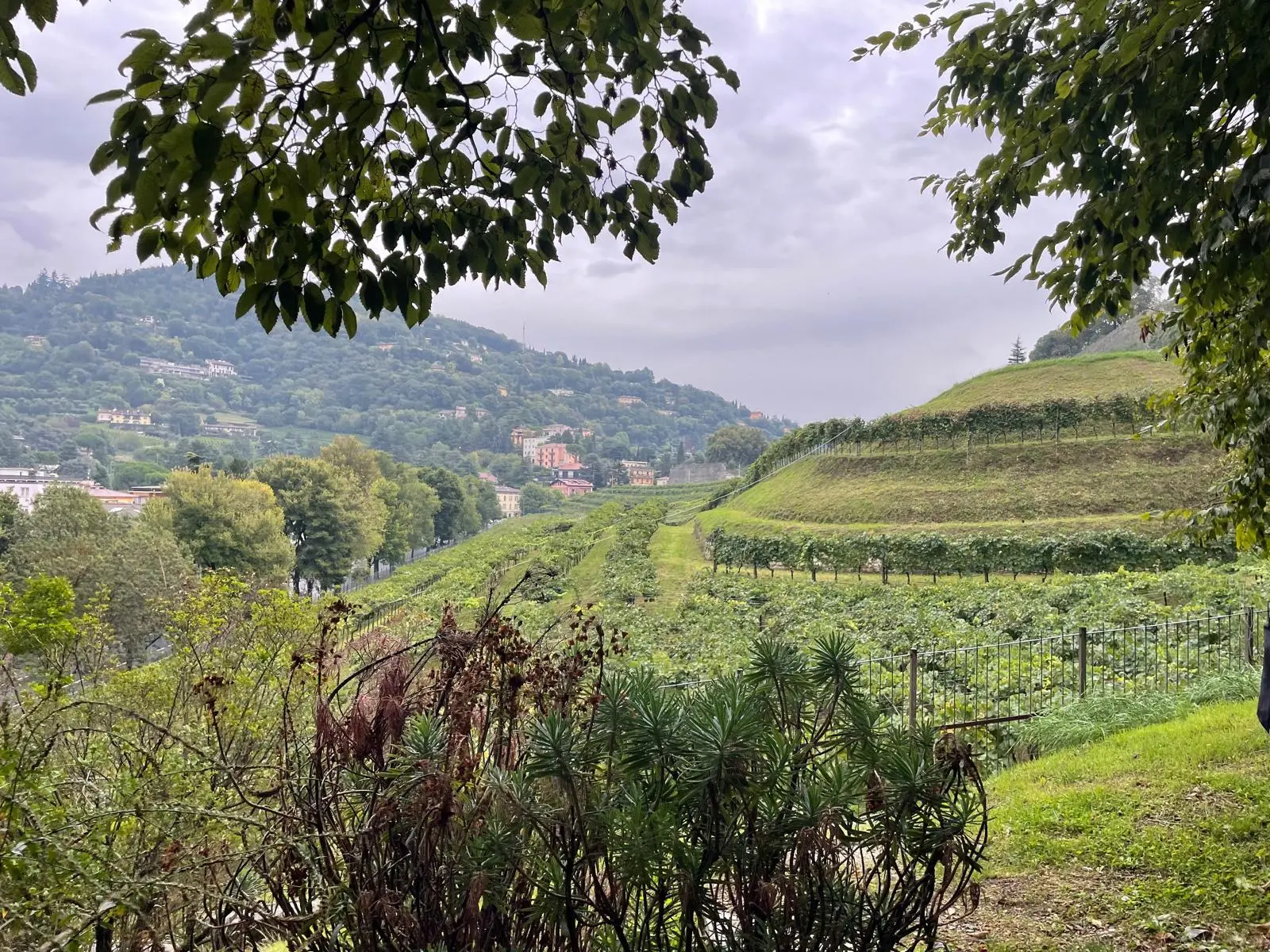 Il primo percorso del Trekking verde urbano