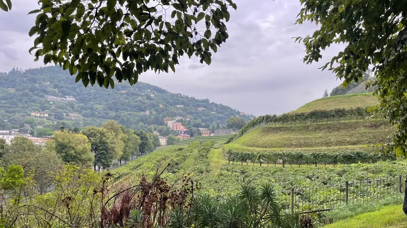 Il primo percorso del Trekking verde urbano