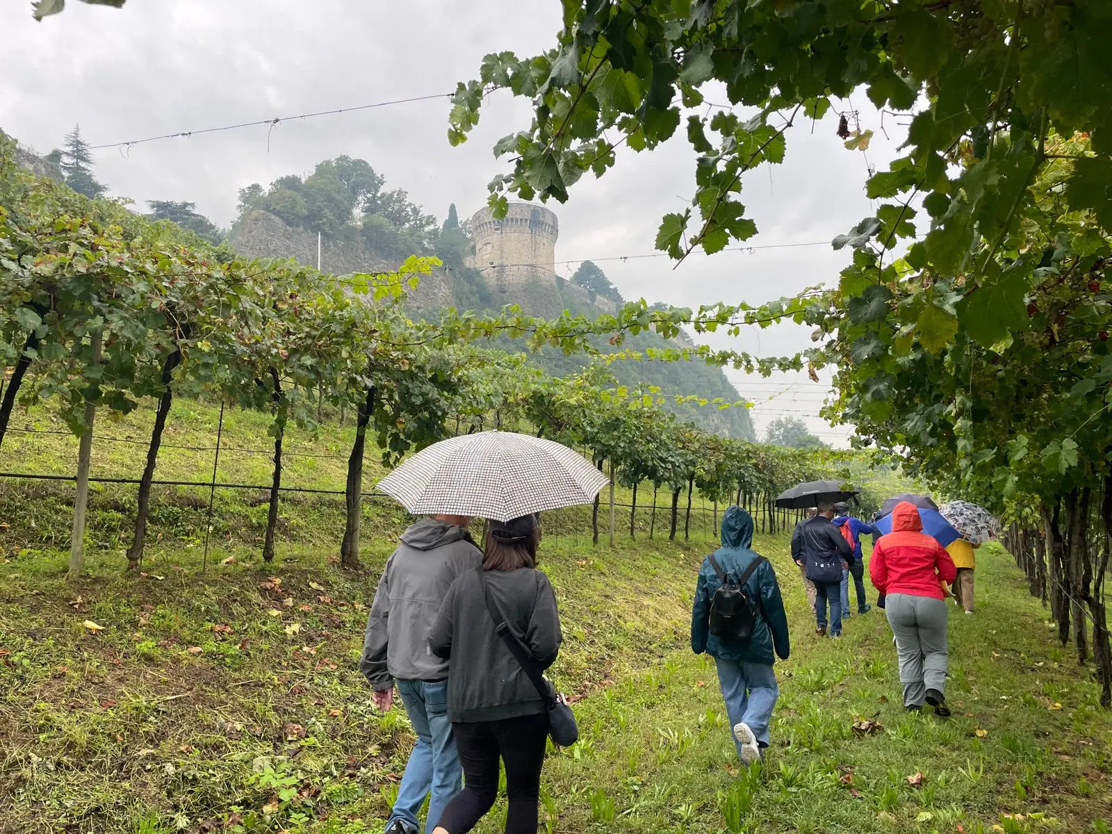 Il primo percorso del Trekking verde urbano