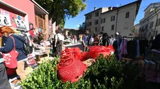 In Carmine la giornata del riuso