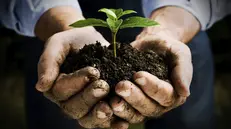 Sostenibilità - © www.giornaledibrescia.it