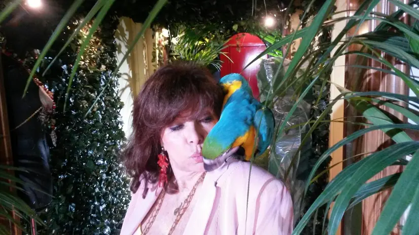 Patrizia Reggiani Gucci con il pappagallo Bo, in occasione della presentazione della sua linea di borse con Bozart. Milano, 16 settembre 2014. ANSA/ GIOIA GIUDICI
