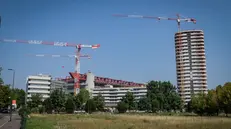 Il quartiere San Siro coinvolto nelle inchieste sull’ubanistica , Milano 13 Agosto 2025 ANSA/MATTEO CORNER