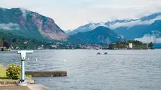 Al via l'ultimo giorno del G7 Economia e Finanze a Stresa, il 25 maggio 2024. ANSA/JESSICA PASQUALON
