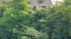 20240712 - CLJ - VIDOR - SOPRALLUOGO VIGILI DEL FUOCO LUNGO SCARPATA ABBAZIA - VIGILE DEL FUOCO IN CALATA