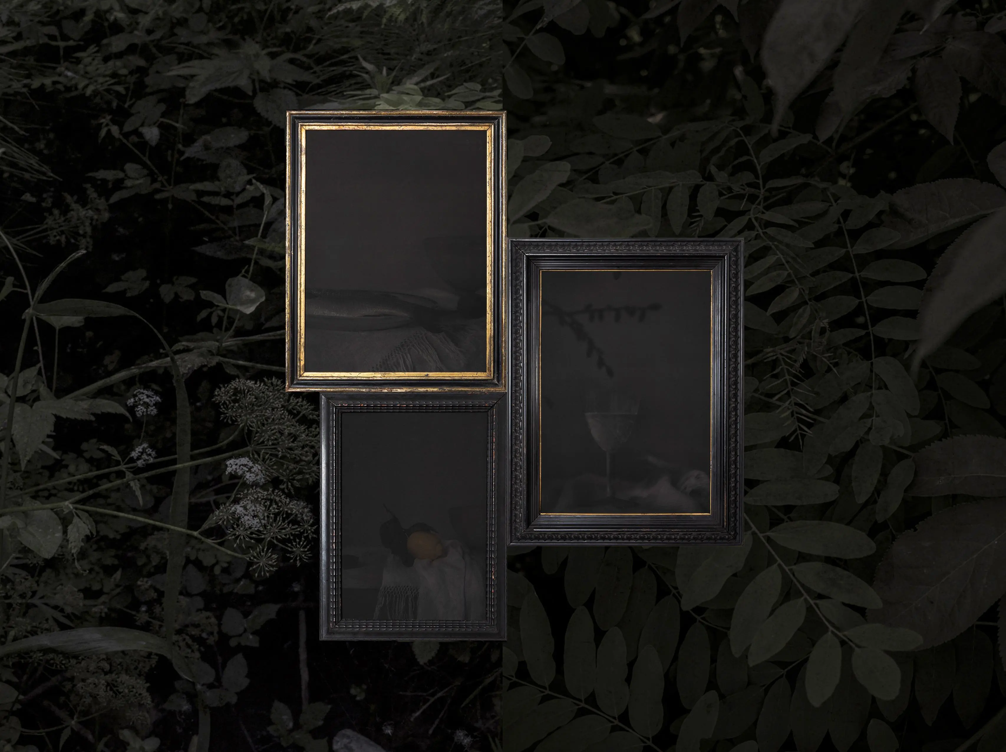 Alessandra Calò, The Garden's Tale