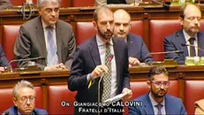Giangiacomo Calovini alla Camera