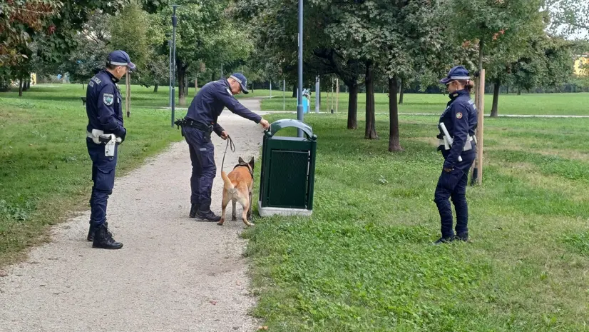 Intensificata l'attività nei parchi