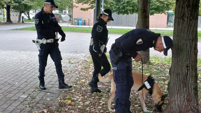 I controlli della Polizia locale