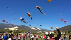 Aquiloni nel cielo di Rezzato