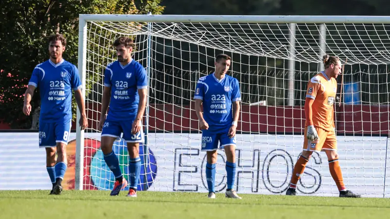 La delusione dei biancazzurri dopo il gol subito - Foto New Reporter Comincini © www.giornaledibrescia.it