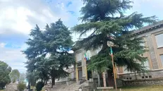 La scuola primaria Ai Caduti di Rovato