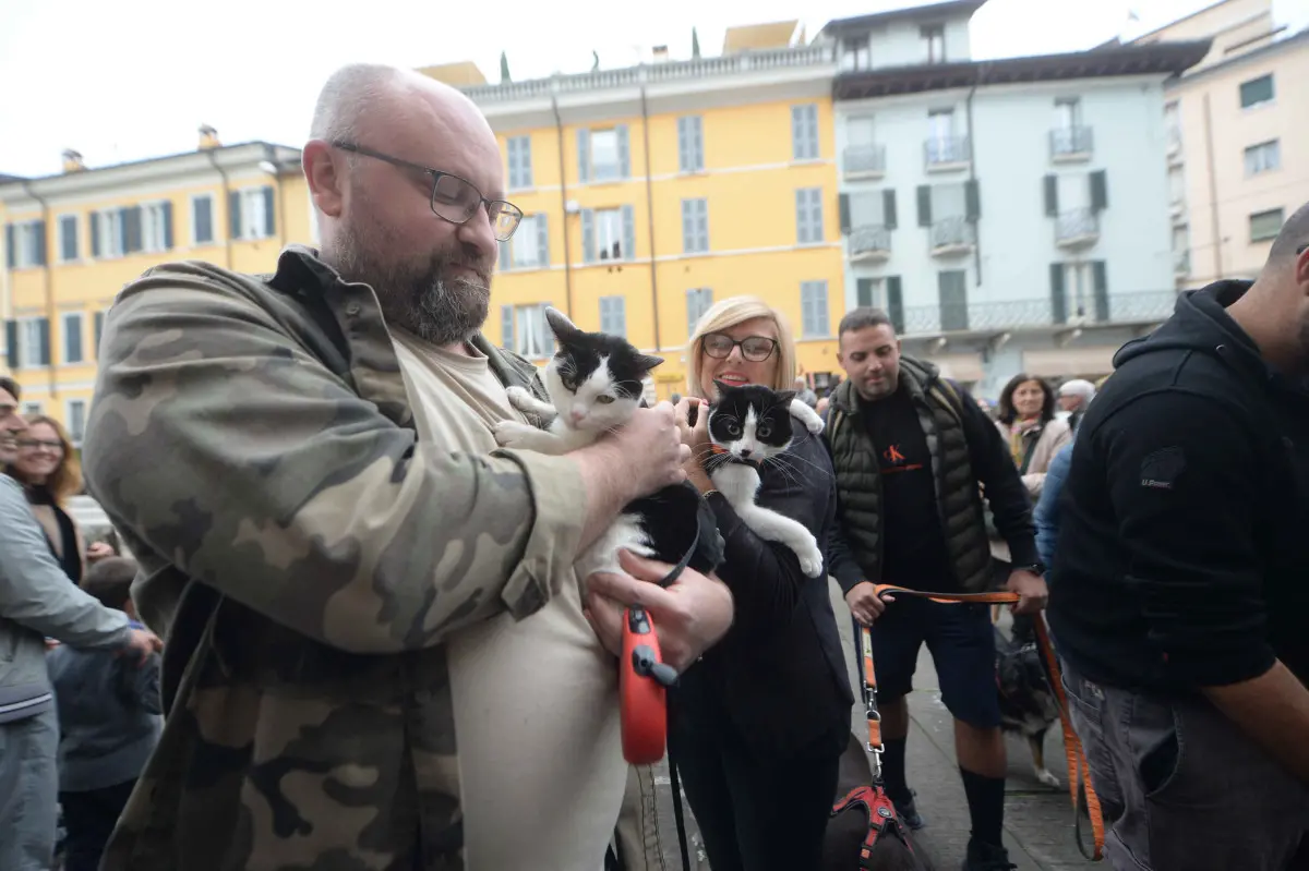 La benedizione degli animali alla chiesa di San Francesco