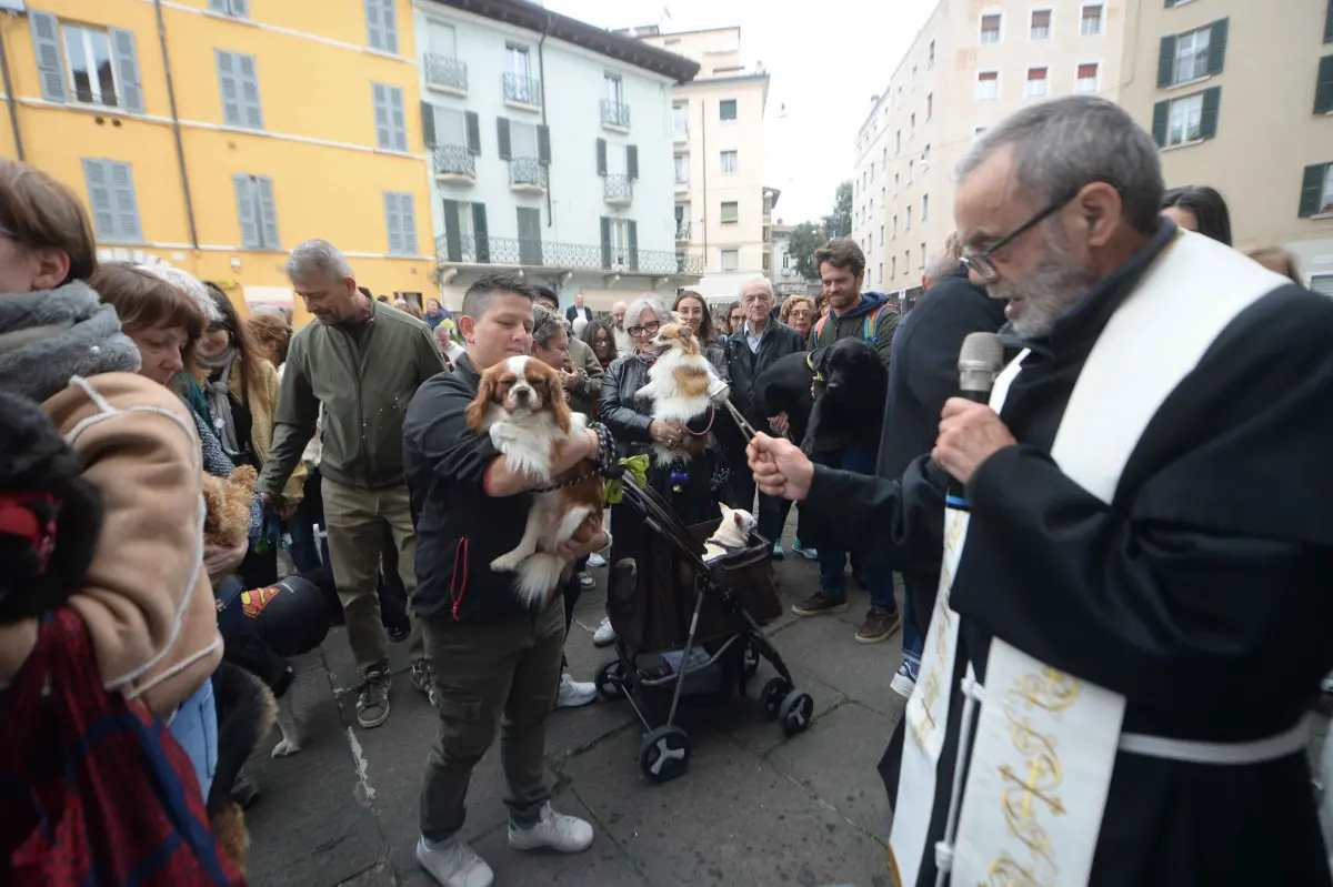 La benedizione degli animali alla chiesa di San Francesco