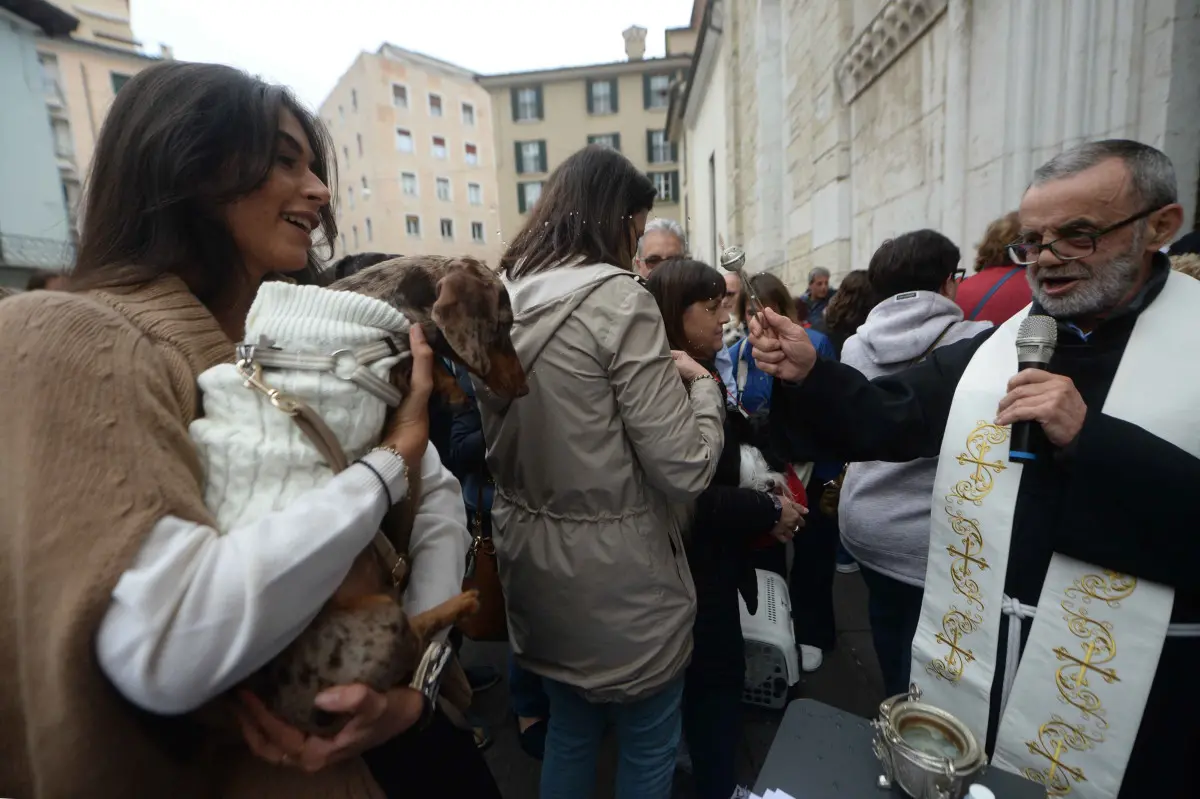 La benedizione degli animali alla chiesa di San Francesco