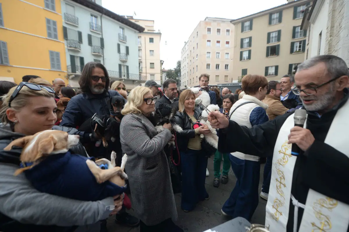 La benedizione degli animali alla chiesa di San Francesco