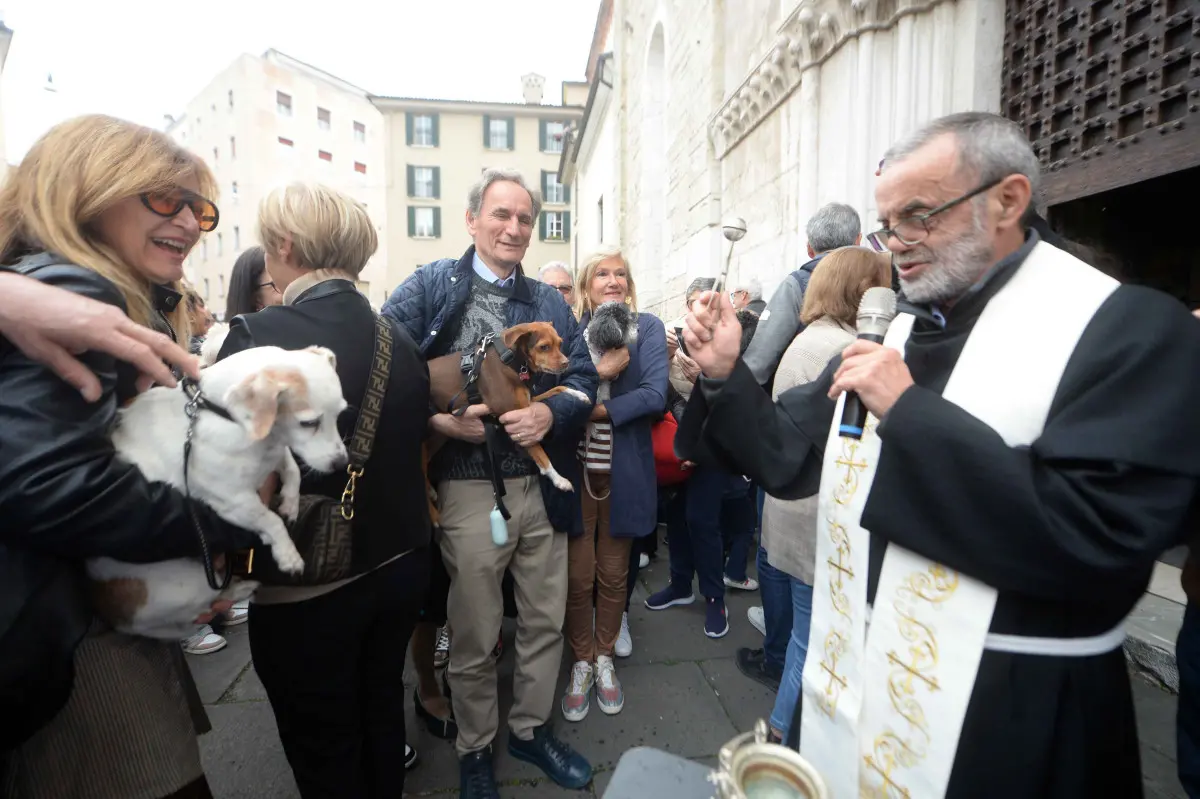 La benedizione degli animali alla chiesa di San Francesco