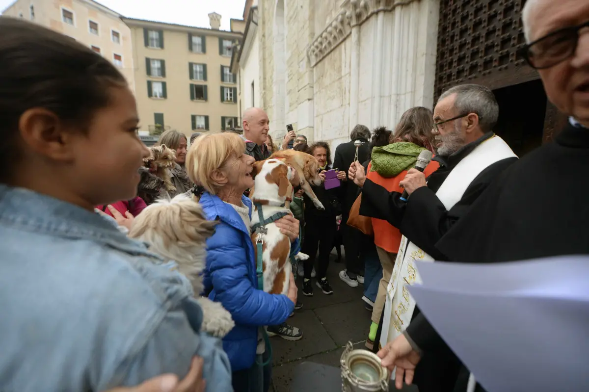 La benedizione degli animali alla chiesa di San Francesco