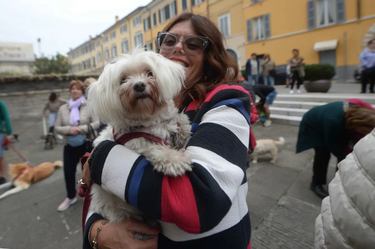 La benedizione degli animali alla chiesa di San Francesco