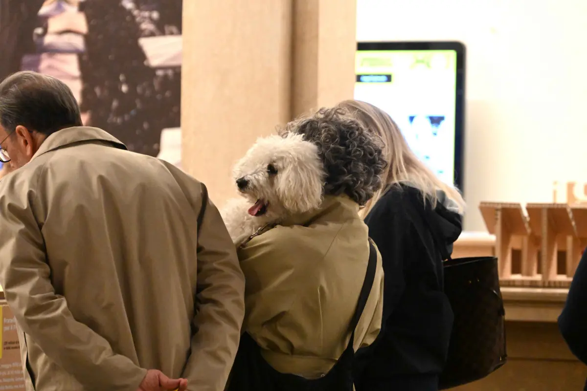 Notte della Cultura, la mostra del GdB