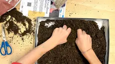 Al Parco dell’Acqua i bambini affondano le mani nella terra e piantano semi