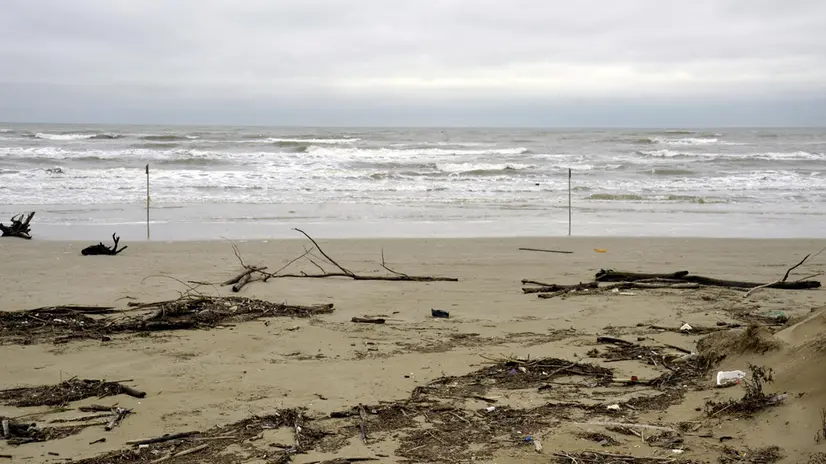 (ANSA) - ANCONA, 20 NOV - Ambiente: spiaggia con detriti e mare mosso, dopo mareggiata.
