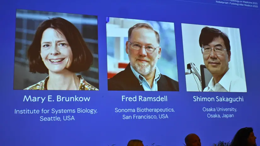 epa12434454 The recipients of the 2025 Nobel Prize in Physiology or Medicine, (L-R) Mary E. Brunkow, Fred Ramsdell and Shimon Sakaguchi, are announced by the Nobel Assembly for their discoveries concerning peripheral immune tolerance at the Karolinska Institute, in Solna, Stockholm County, Sweden, 06 October 2025. EPA/CLAUDIO BRESCIANI/TT SWEDEN OUT
