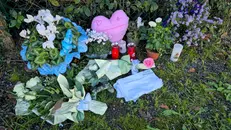 Fiori e peluche per Luca, nel luogo dell'incidente - © www.giornaledibrescia.it