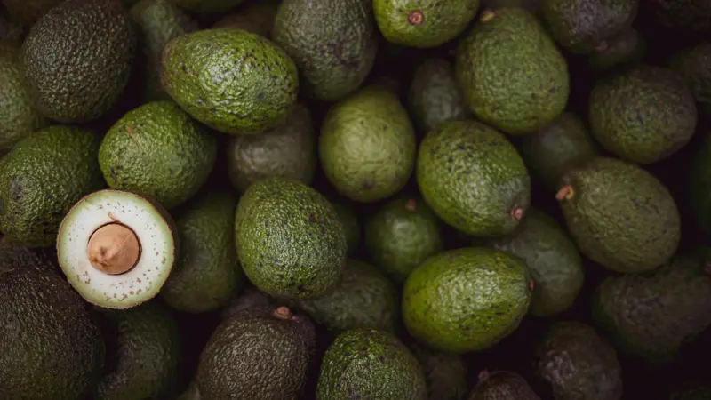 I grassi che «fanno bene» sono i grassi mono e poli-insaturi, che si trovano negli avocado