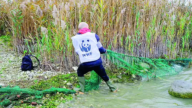 Le reti abbandonate possono rivelarsi fatali per gli animali