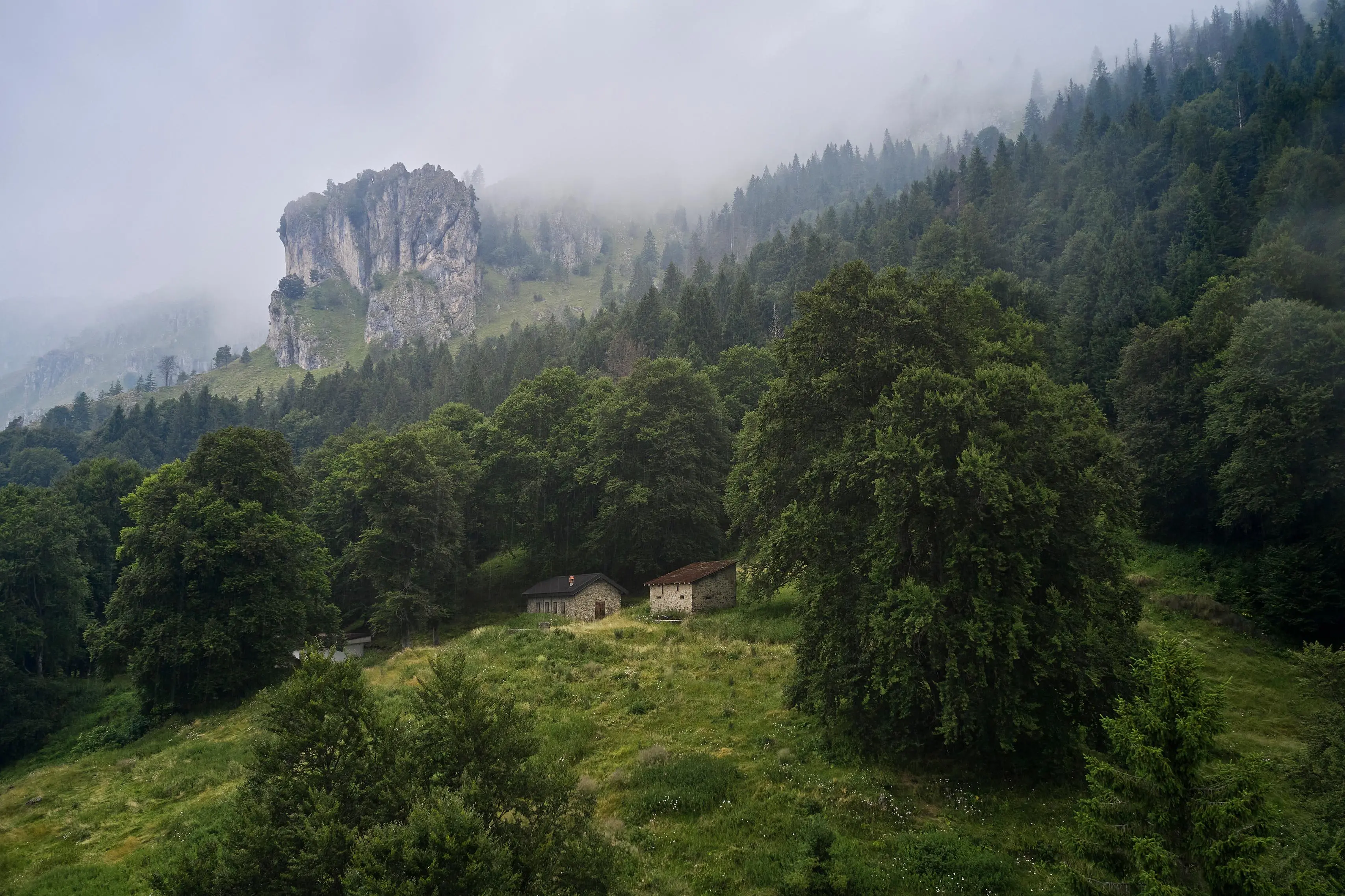 Il Tombea prodotto negli alpeggi della Val Vestino