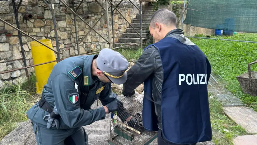 La perquisizione all'esterno dell'abitazione
