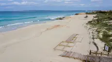epa08430142 An aerial view of the deserted Migjorn beach, in Formentera, Balearic islands, Spain, 18 May 2020. Formentera island is one of the few places in Spain that is in phase 2 of de-escalation process amid several weeks of a lockdown to avoid the spreading of pandemic of the COVID-19 disease caused by the SARS-CoV-2 coronavirus. So far it has been necessary to regulate beach controls in the island due to the lack of tourism and the scarce number of the population. EPA/Sergio G. Canizares