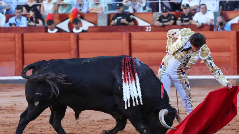 epa12377295 Peruvian bullfighter Roca Rey in action during Virgen de la Vega fair in Salamanca, Castilla y Leon, Spain, 14 September 2025. EPA/JM GARCIA